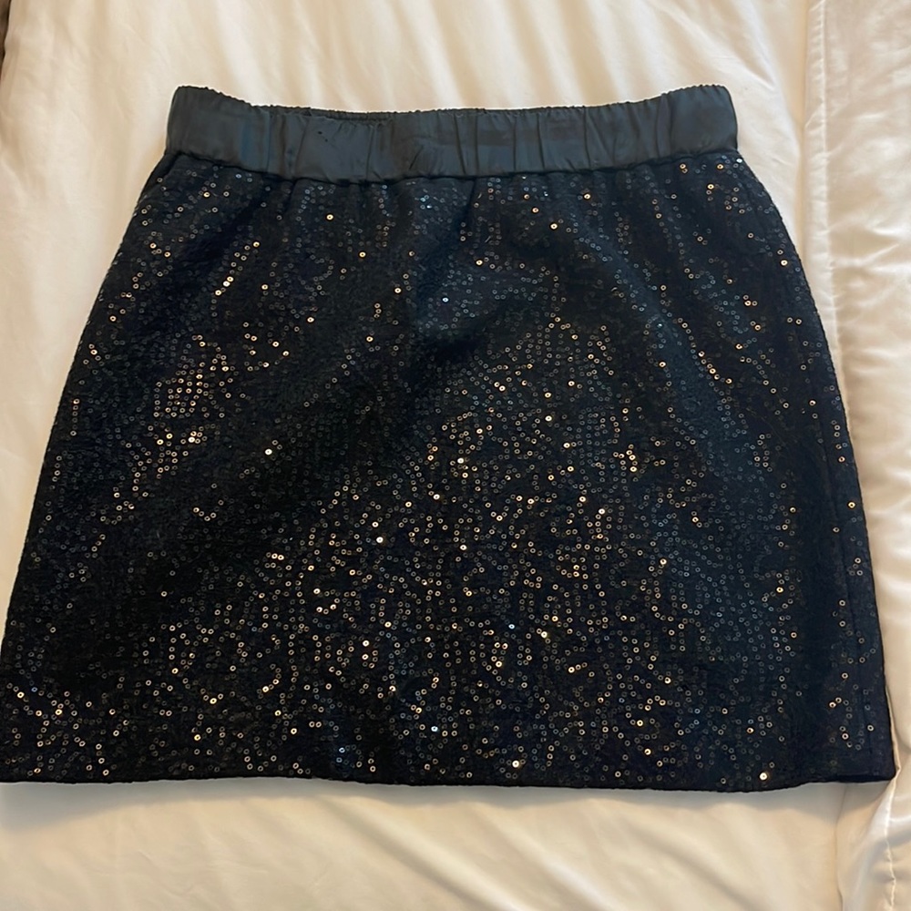 LOFT Sequin Skirt